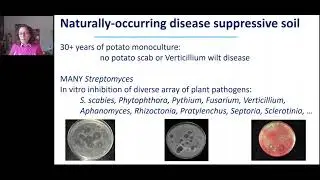 Soil Microbiomes and Crop Health: Are soil microbiomes the key to sustainable cropping(Linda Kinkel)