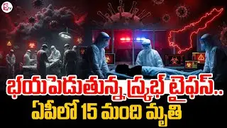 Scrub Typhus Virus Spreads in AP | New Virus In AP | Scrub Typhus Precautions Telugu | SumanTV Vali