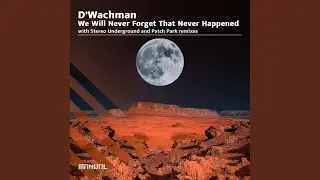 We Will Never Forget That Never Happened (Stereo Underground Remix)