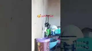 صباح الخير 🌸
