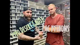 Let's check out a Hypo Desert Ghost project with Pac Pythons