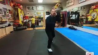 Some Mantis Kungfu palm&rsquo;s techniques and concepts inside 螳螂拳掌法