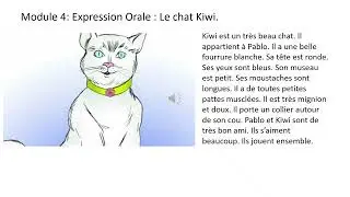 Module n&deg;4: Expression orale: Le chat Kiwi