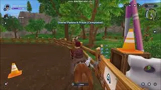 Shared Paddock Props!! // Star Stable Online