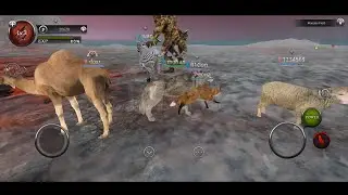 Wolf, Sheep, Fox, Zebra, Camel, Hyena GamePlay - Wild Animals Games| Wolf GamePlay | Animal Games