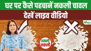Asli Nakli: क्या आप प्लास्टिक चावल खा रहे हैं? जानिए असली और नकली की पहचान के 3 आसान तरीके!