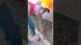 how to make it fit perfect bored shrinker #diy #shorts #daviddanielnichols