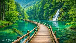 Music Therapy 🌿 Restore Your Nervous System, Stop Overthinking & Deep Relaxation