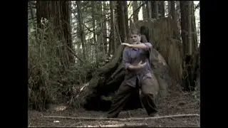 The Qigong Body: Basics of Body Control, by Ted Mancuso