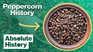 All about Peppercorns, Trade History, Difference Types of Pepper corns, Health Benefits and uses.