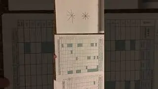 Juan- Scoring Test of Visual-Motor Skills