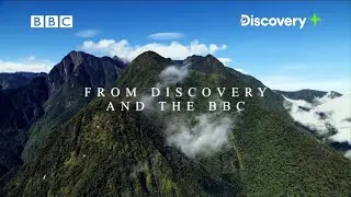 World-class titles from BBC, Now Streaming on the Discovery Plus Premium