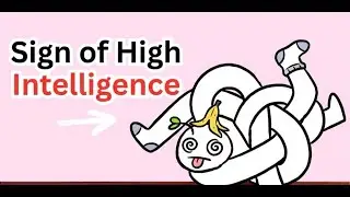 Odd Things Smart People Often Do
