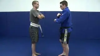 Guest: Art Marshall - Triangle punch defense; fly trap