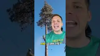 how to start a tree trimming