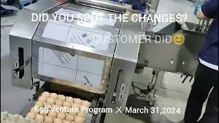 EggVenture Program ㄨ New Generation Chinese-Made Egg Farm Packer