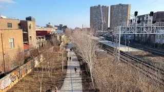 Toronto LIVE: The Junction Triangle & Bloor on March 3,  2021