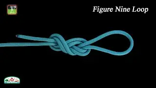 Knotting 137 - Figure 9 Loop