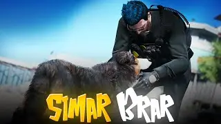 Simar Brar or Love Rp | Cop Rp Htrp 4.0 Live #htrp
