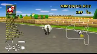 [MKWii TAS] N64 Mario Raceway Flap - 24.517 (Supersliding)