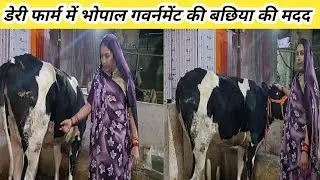 Dairy Farm में भोपाल गवर्नमेंट की बछिया कर रही मदद ll ganesh dairy farm ll dairy farm ll
