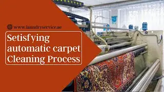 How Do We Clean Carpets - Free Collection & Delivery in Ajman & Abu Dhabi!