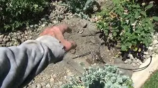 How to Fix Drip Irrigation Not Working Properly