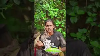 Cap 8 ff free fire short video?