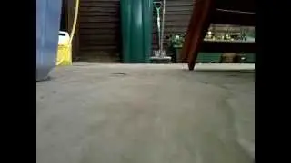 Driving an RCXD in garden POV