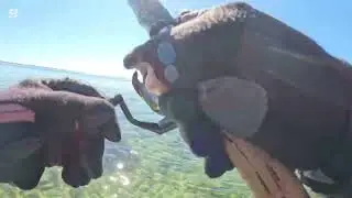 Sommer HØ & Regnbue - Glænø varm Mandag 18. August