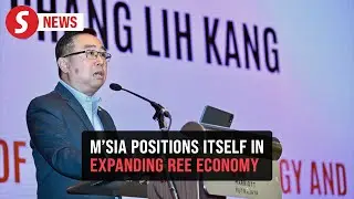 Global rare earth market set to double by 2030, says Chang