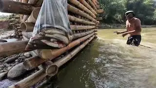 Săn cá mại khủng thành công 