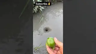 Amazing Water Vortex Experiment!? #whrilpool #experiment #experiments #vortex #waterexperiments
