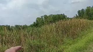 Ohio Division of Wildlife Fish Hatchery:  Hiking Trail (Hebron)