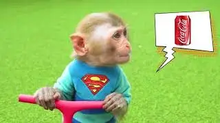 Monkey Baby Bon Bon meets rain of chocolate candy and eats rainbow milk bottle jelly with ducks