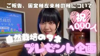 ご報告など！固定種・在来種のタネについて。まもなく1000名【自然栽培】