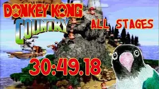 [Former World Record] Donkey Kong Country - All Stages in 30:49.18 (frame counted)