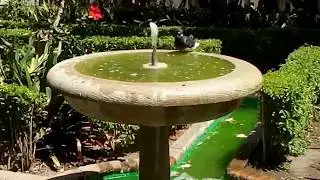 water source