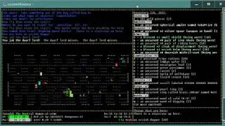 Let's Play NetHack Fourk, Episode 8, Big Room