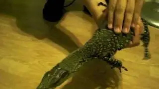 Croc Monitor