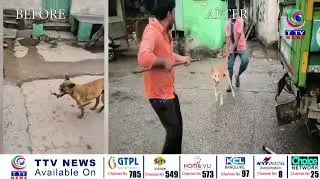 After TTV Urdu News Report, Bhainsa Acts! Stray Dog Drive Launched