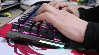 MSI GK80 게이밍 키보드 은축 타건영상