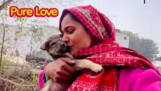 The Truth I Lived | LCP Pawlife