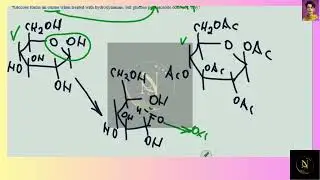 [Chemistry] Glucose forms an oxime when treated with hydroxylamine, but glucose pentaacetate does no