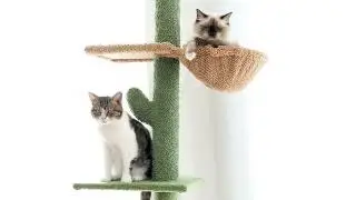 Cat Tree 5-Tier Floor to Ceiling Cat Tower Cactus Tall Climbing Tree with