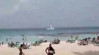 spiaggia viva dominicus