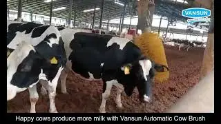 गाय के मसाज मशीन # Cow massage machine # Cow grooming machine #Rahardairyfarm