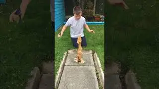 Coke cola Medium￼