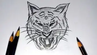How To Draw A Tiger Face Step By Step || Very Simple Tiger Drawing || Tiger Side View Drawing
