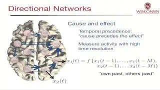 Modeling Electrical Brain Networks